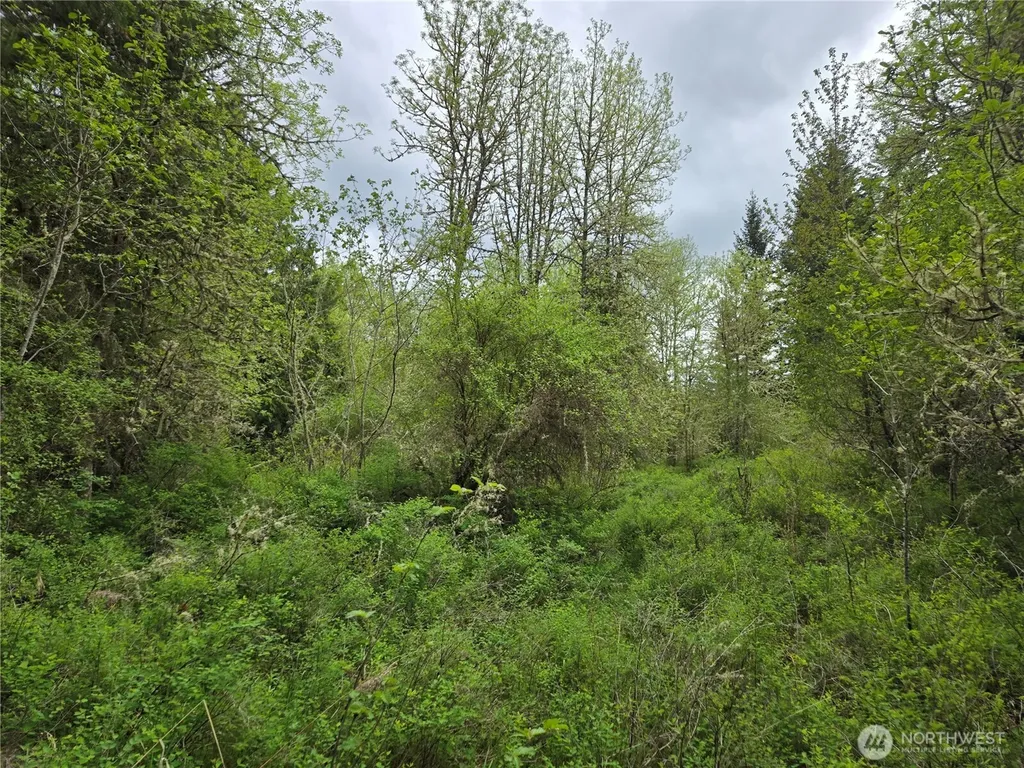 5102 Harts Lake Road S Roy WA 98580