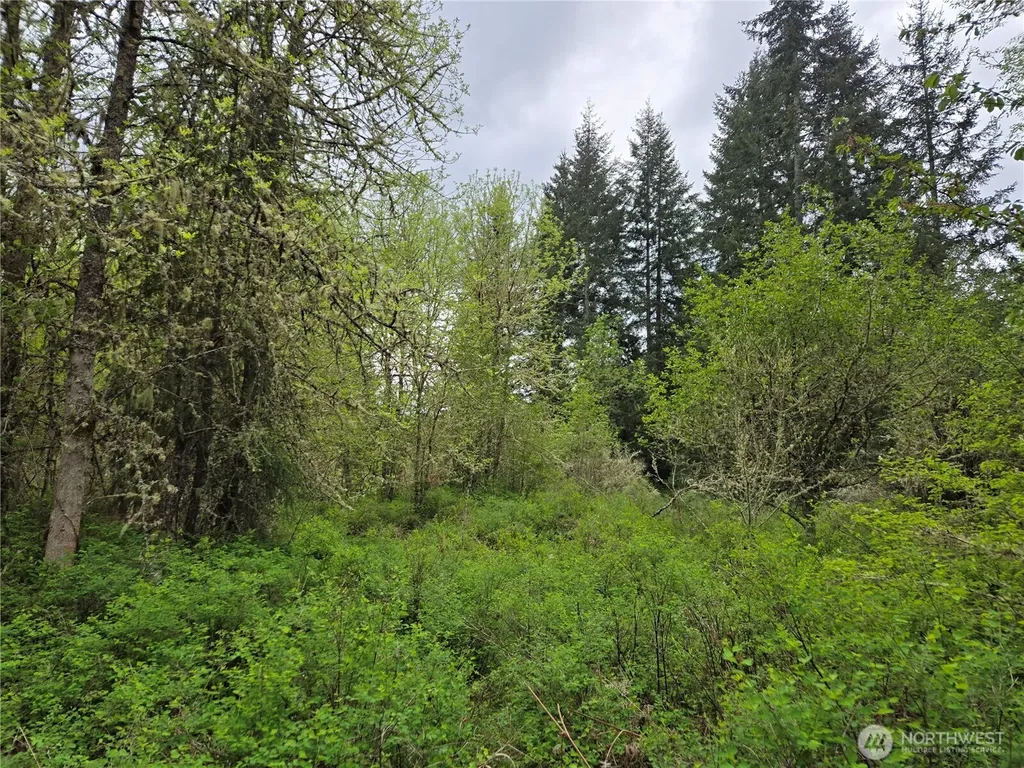 5102 Harts Lake Road S Roy WA 98580