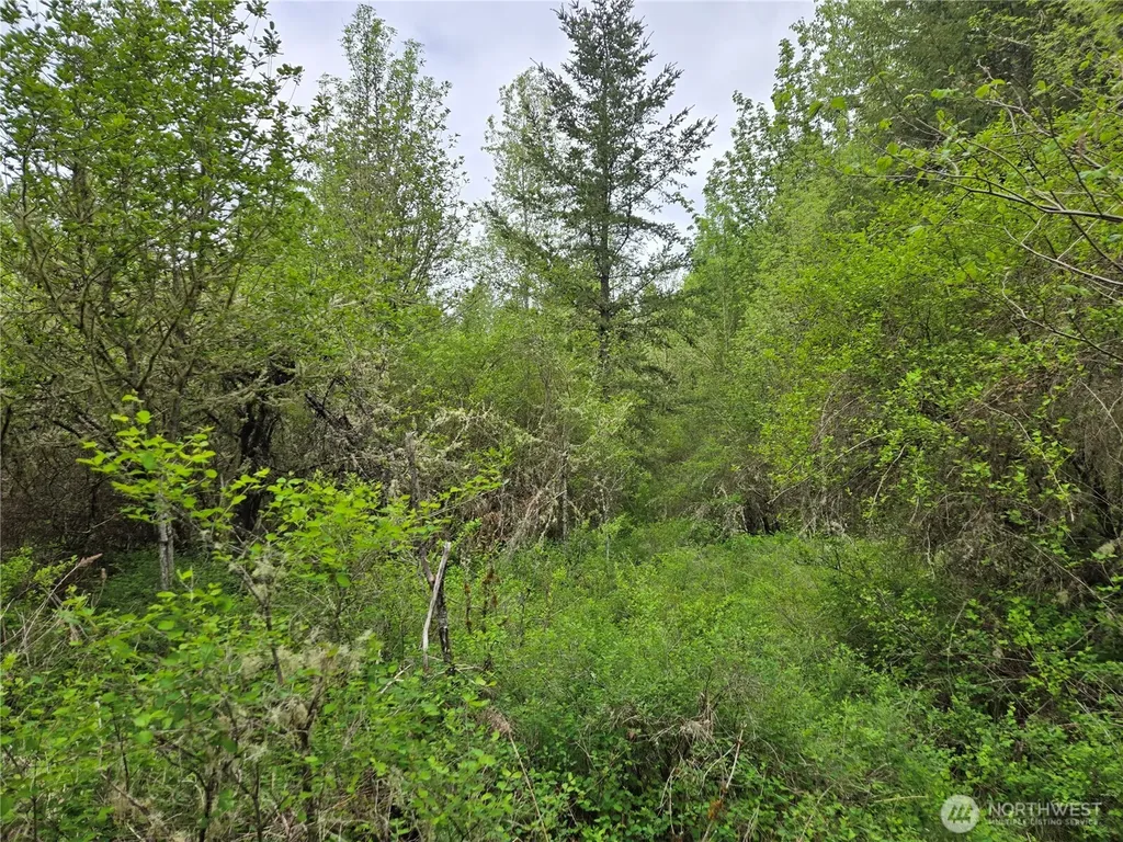 5102 Harts Lake Road S Roy WA 98580