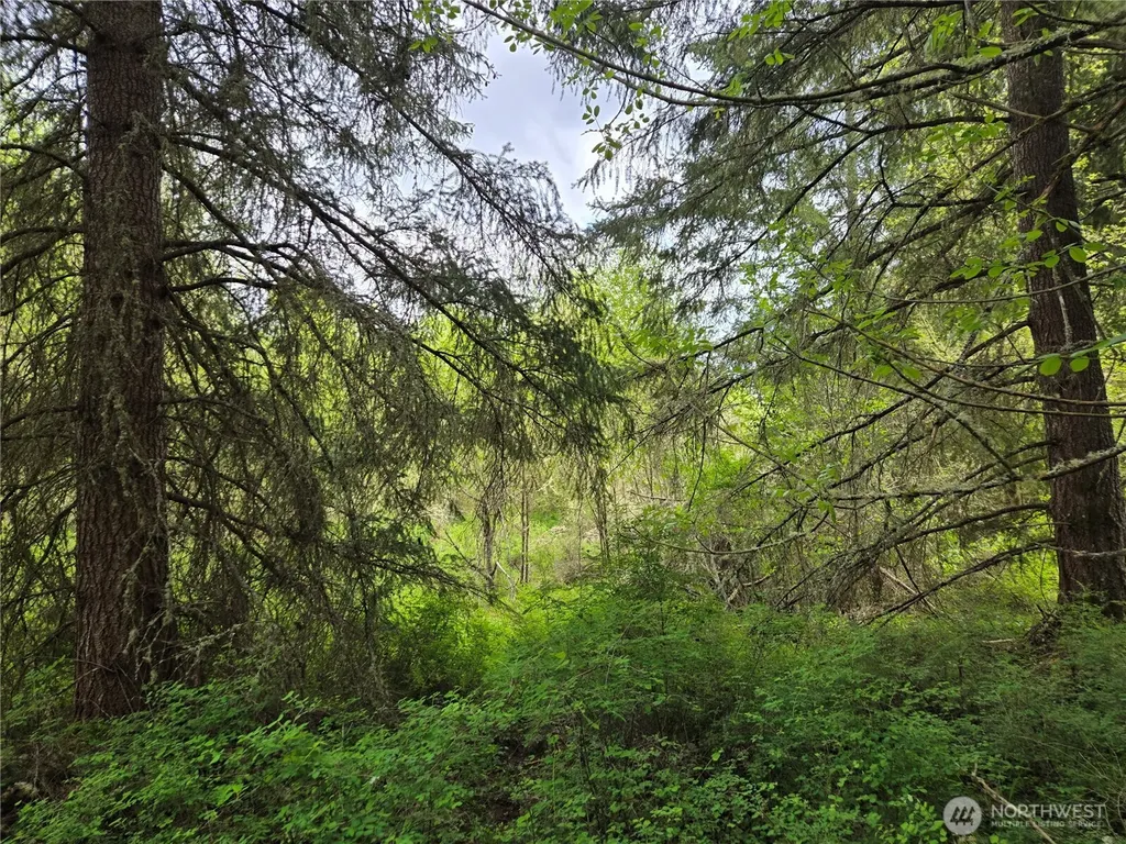 5102 Harts Lake Road S Roy WA 98580