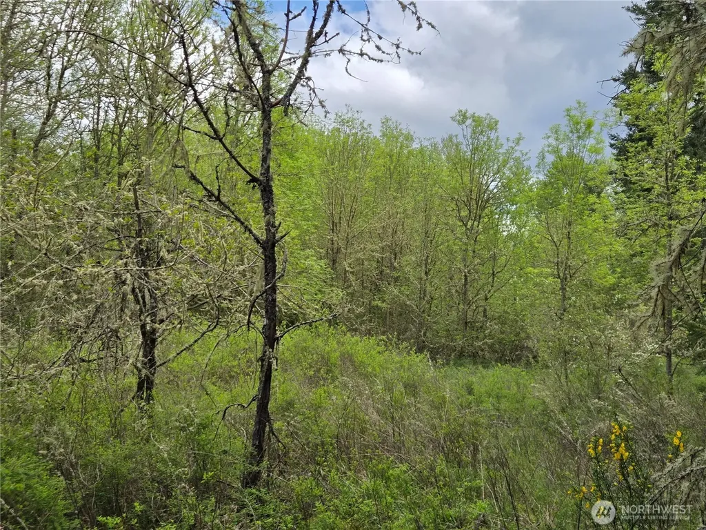 5102 Harts Lake Road S Roy WA 98580