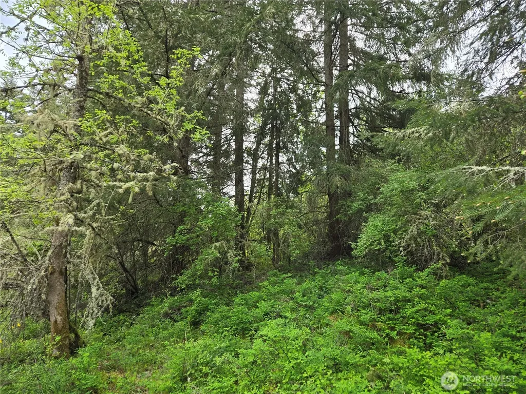 5102 Harts Lake Road S Roy WA 98580