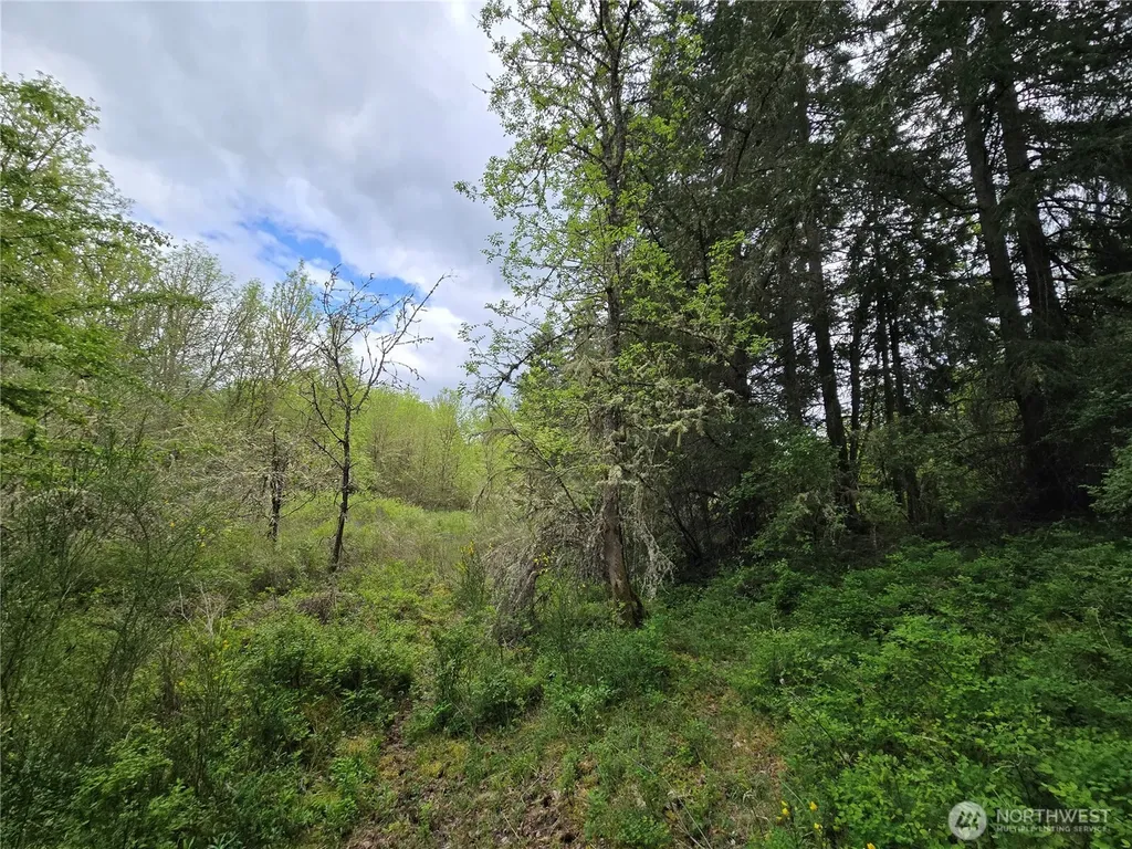 5102 Harts Lake Road S Roy WA 98580