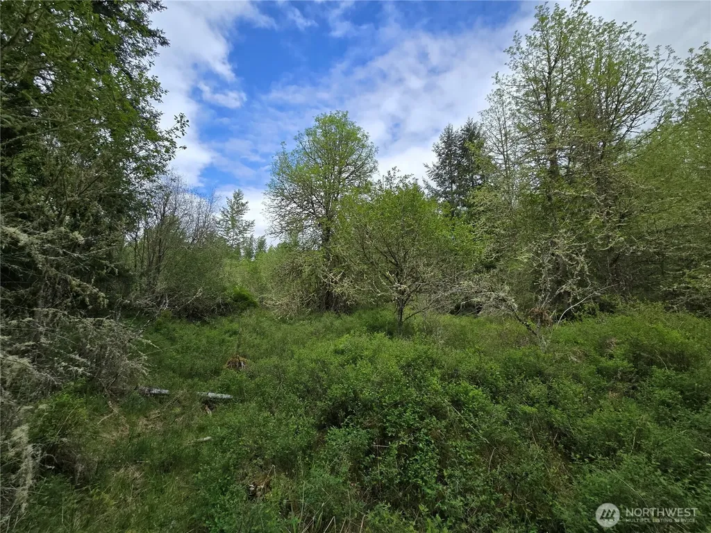 5102 Harts Lake Road S Roy WA 98580