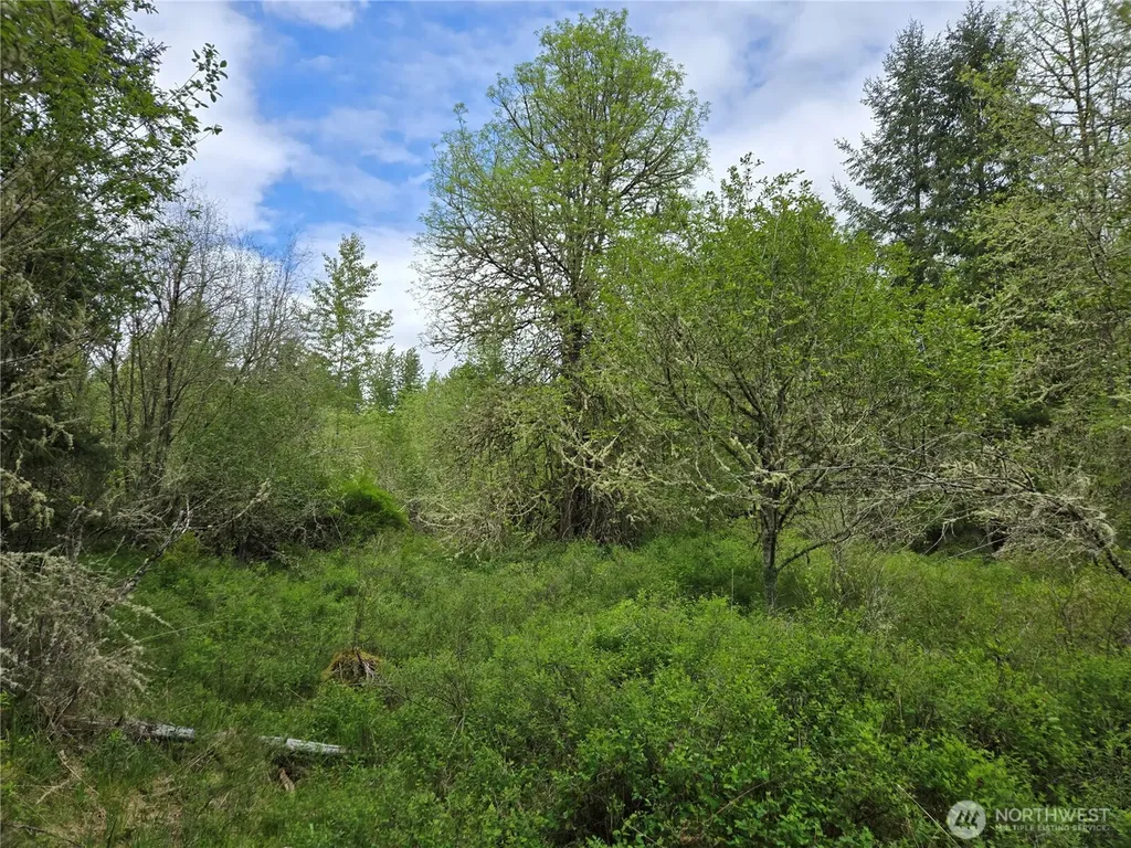 5102 Harts Lake Road S Roy WA 98580