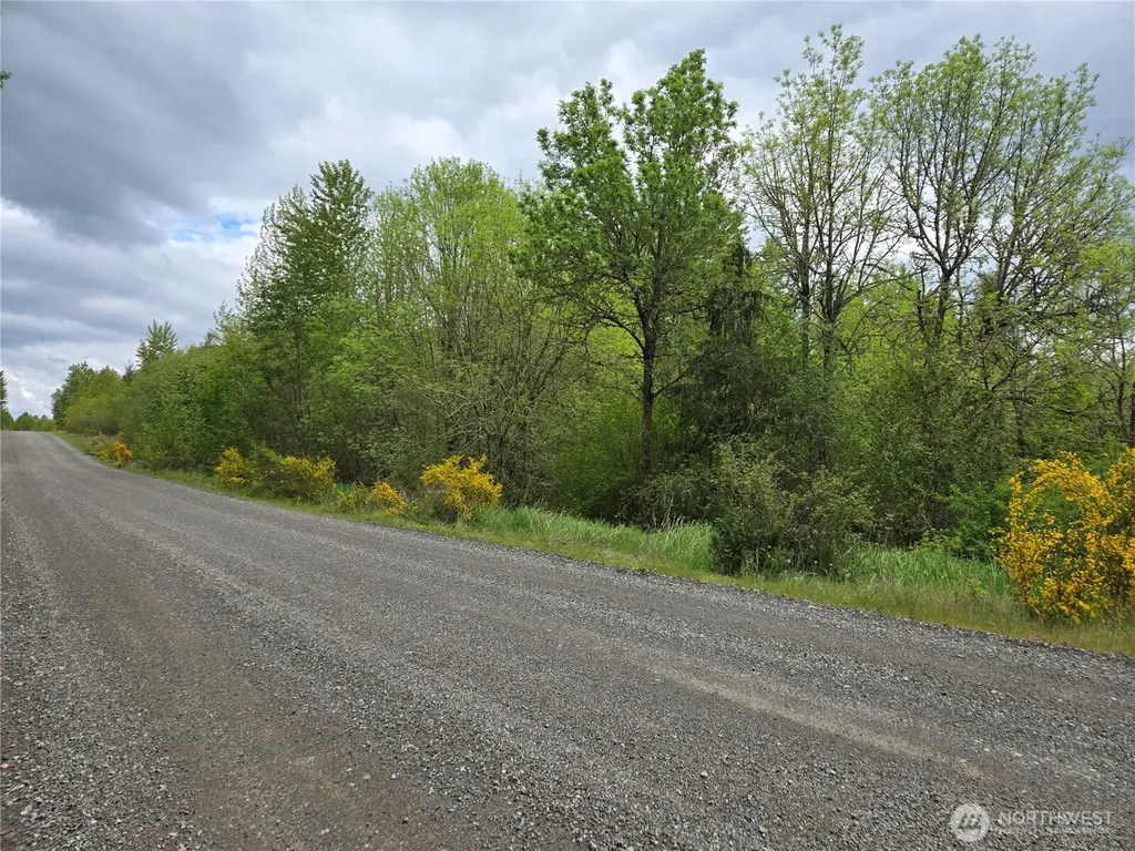 5102 Harts Lake Road S Roy WA 98580