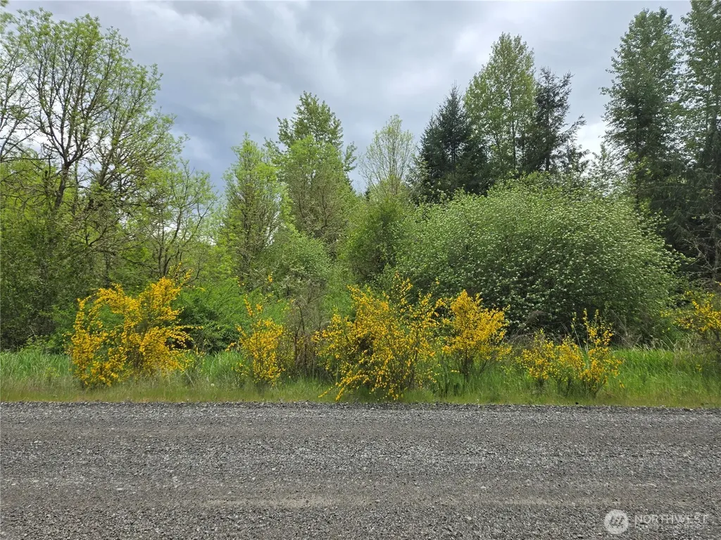 5102 Harts Lake Road S Roy WA 98580