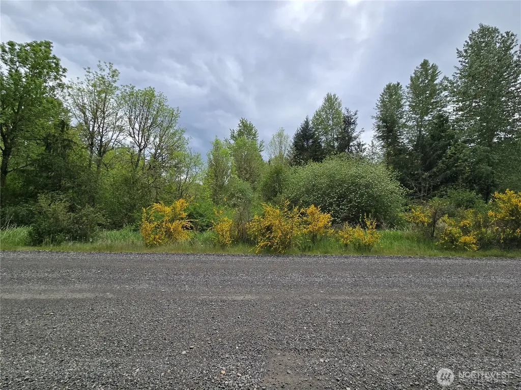 5102 Harts Lake Road S Roy WA 98580