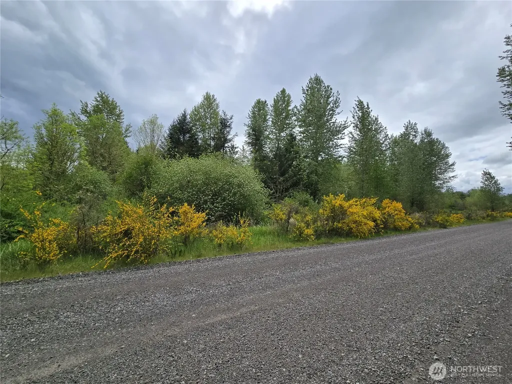 5102 Harts Lake Road S Roy WA 98580