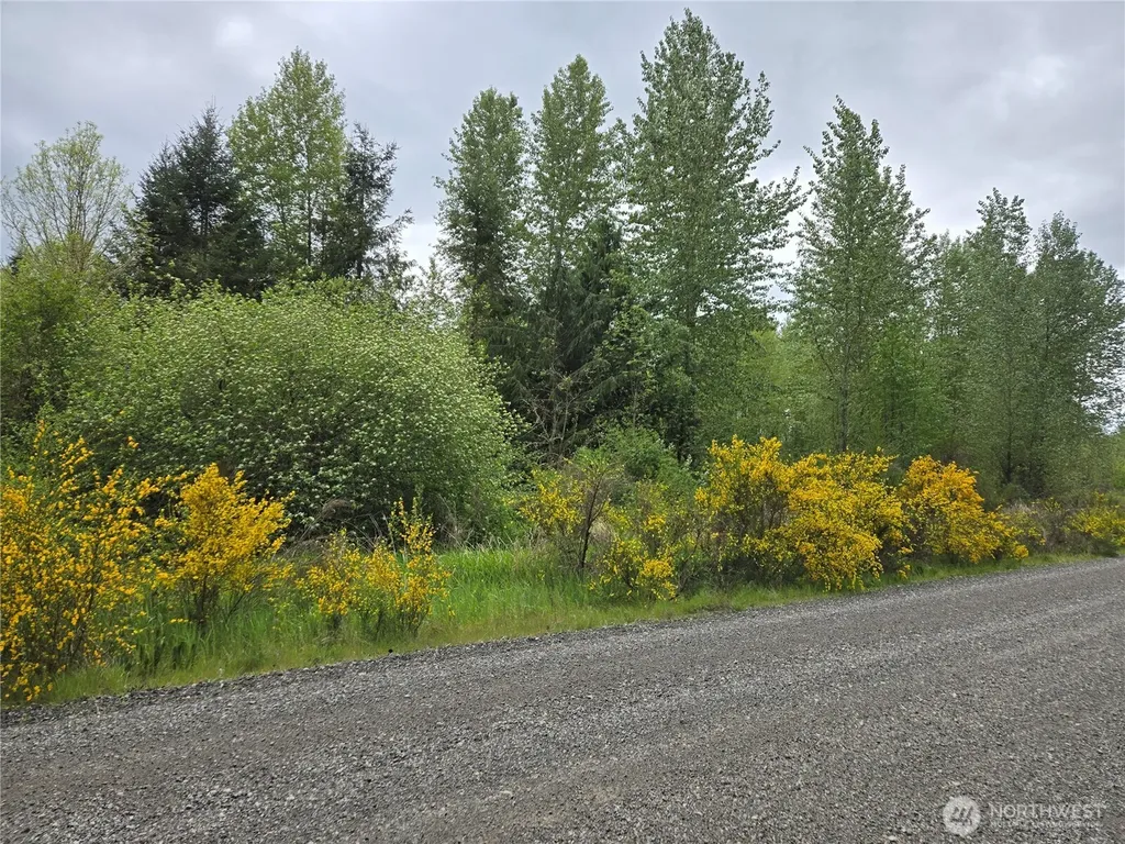5102 Harts Lake Road S Roy WA 98580