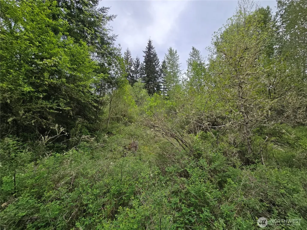 5102 Harts Lake Road S Roy WA 98580