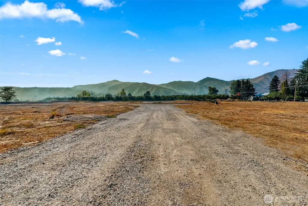 31 Farmer Lane (Lot 10) Monitor WA 98836