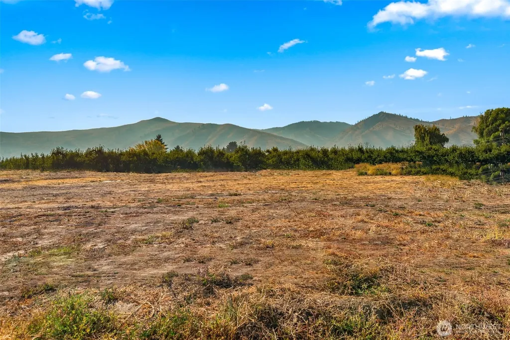 31 Farmer Lane (Lot 10) Monitor WA 98836