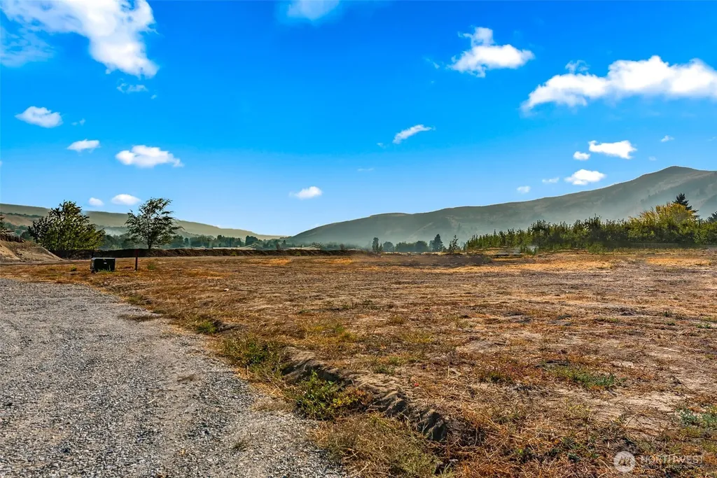 31 Farmer Lane (Lot 10) Monitor WA 98836