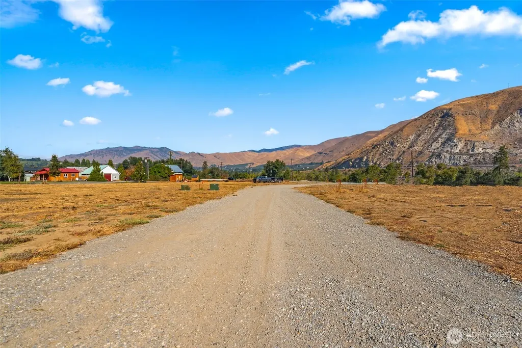 47 Farmer Lane (Lot 9) Monitor WA 98836