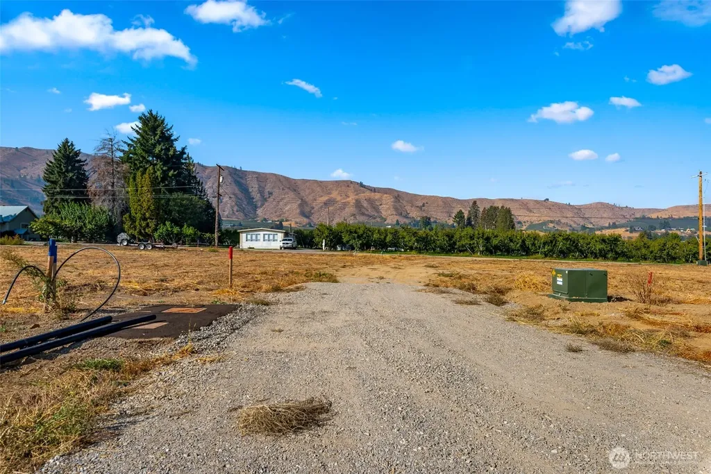47 Farmer Lane (Lot 9) Monitor WA 98836