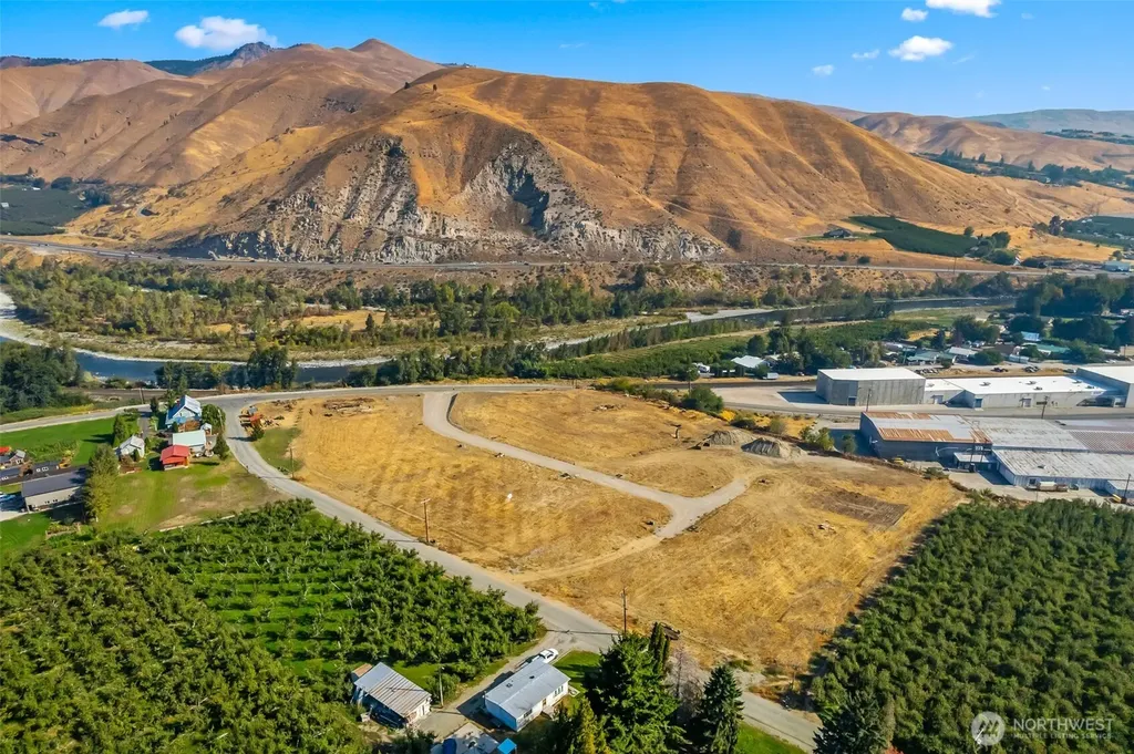 85 Farmer Lane (Lot 7) Monitor WA 98836