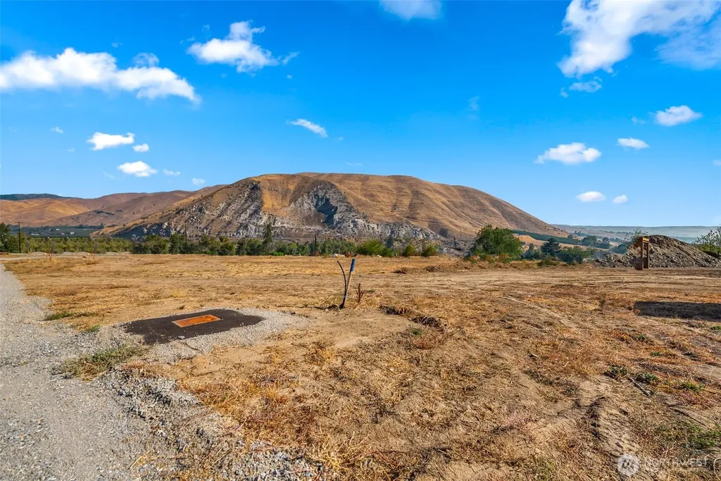 85 Farmer Lane (Lot 7) Monitor WA 98836