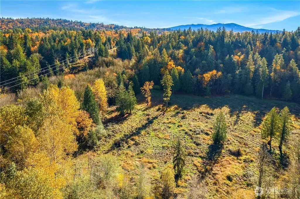 25520 SE Old Black Nugget Road Issaquah WA 98029