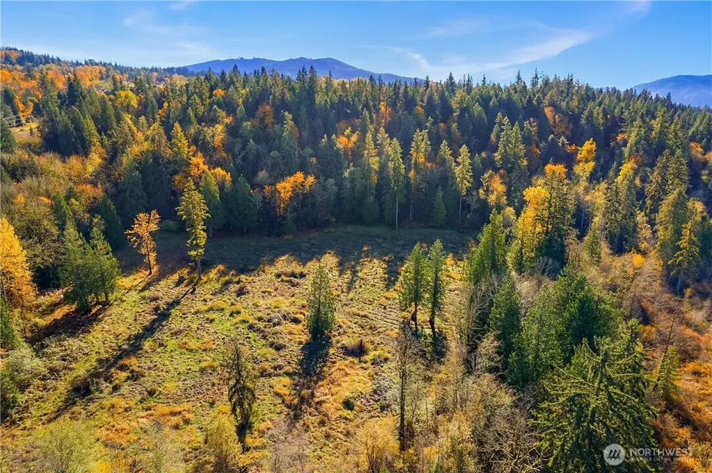 25520 SE Old Black Nugget Road Issaquah WA 98029