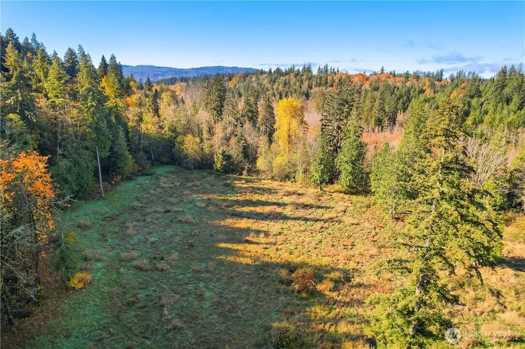 25520 SE Old Black Nugget Road Issaquah WA 98029