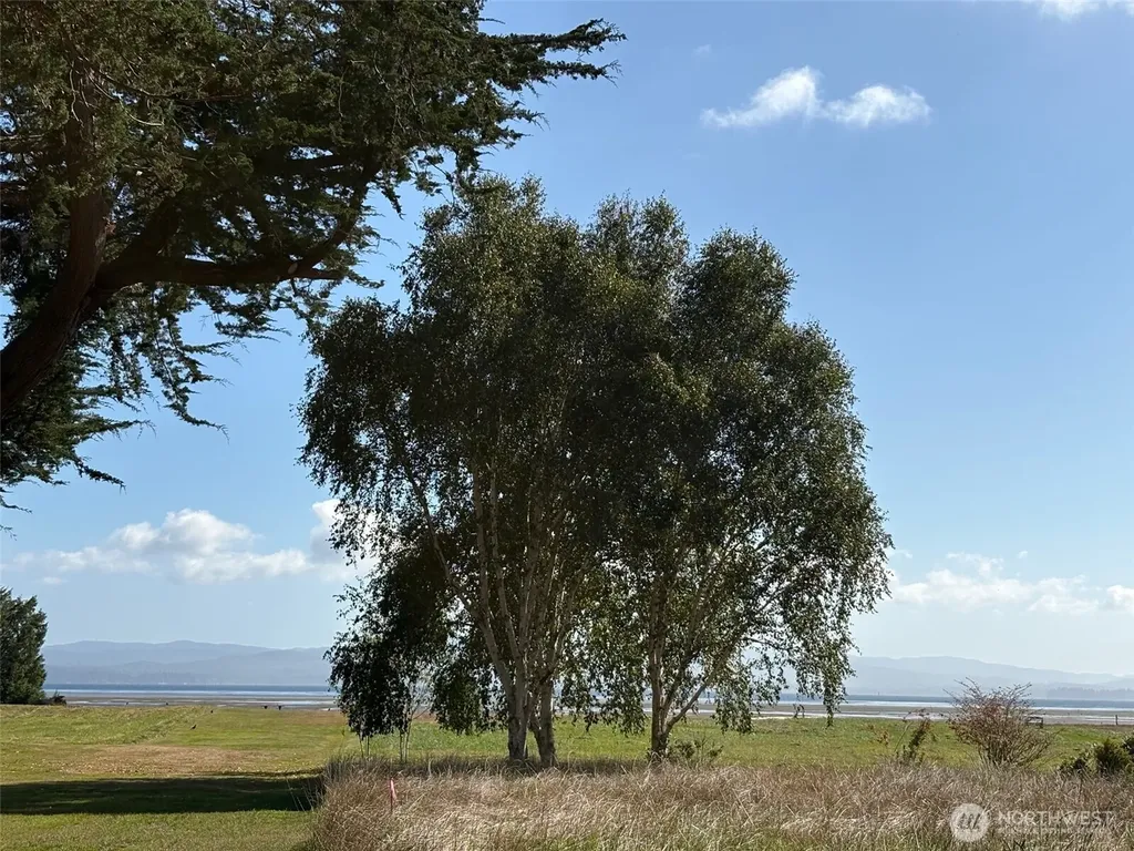 33880 Territory Road Oysterville WA 98640