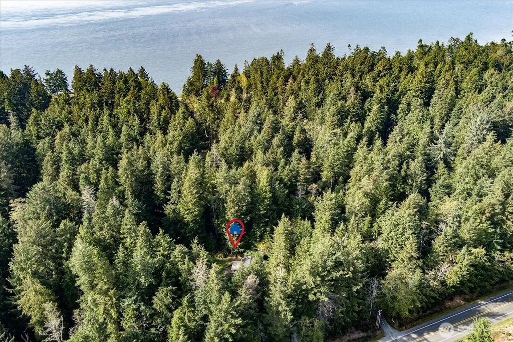 3100 Sea Eagle Lane Greenbank WA 98253