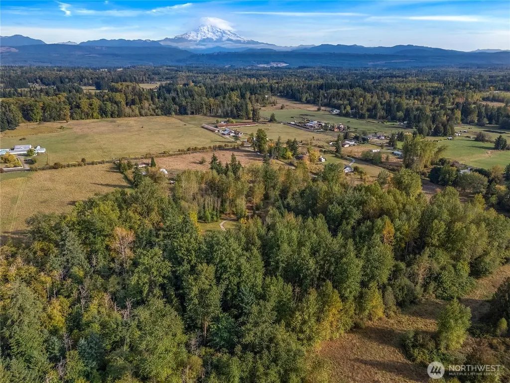 26202 110th Avenue E Graham WA 98338