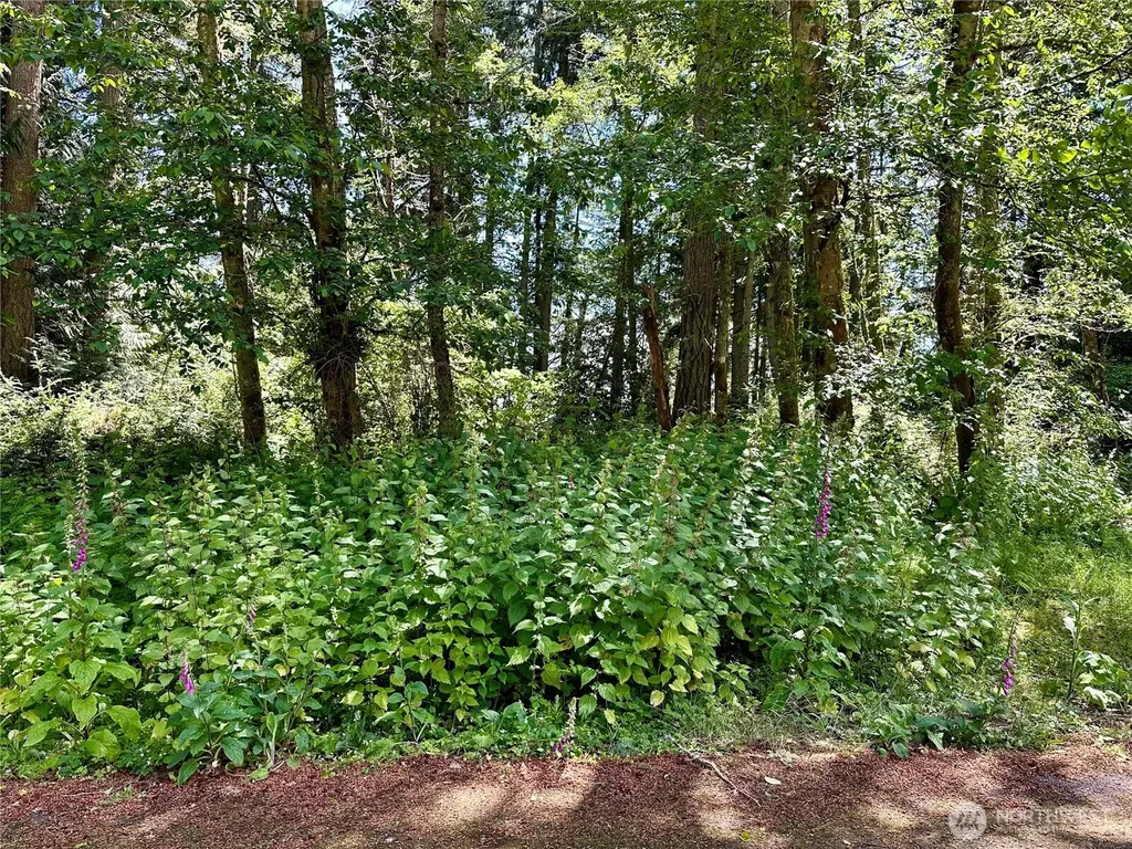 10312 Matthews Anderson Island WA 98303