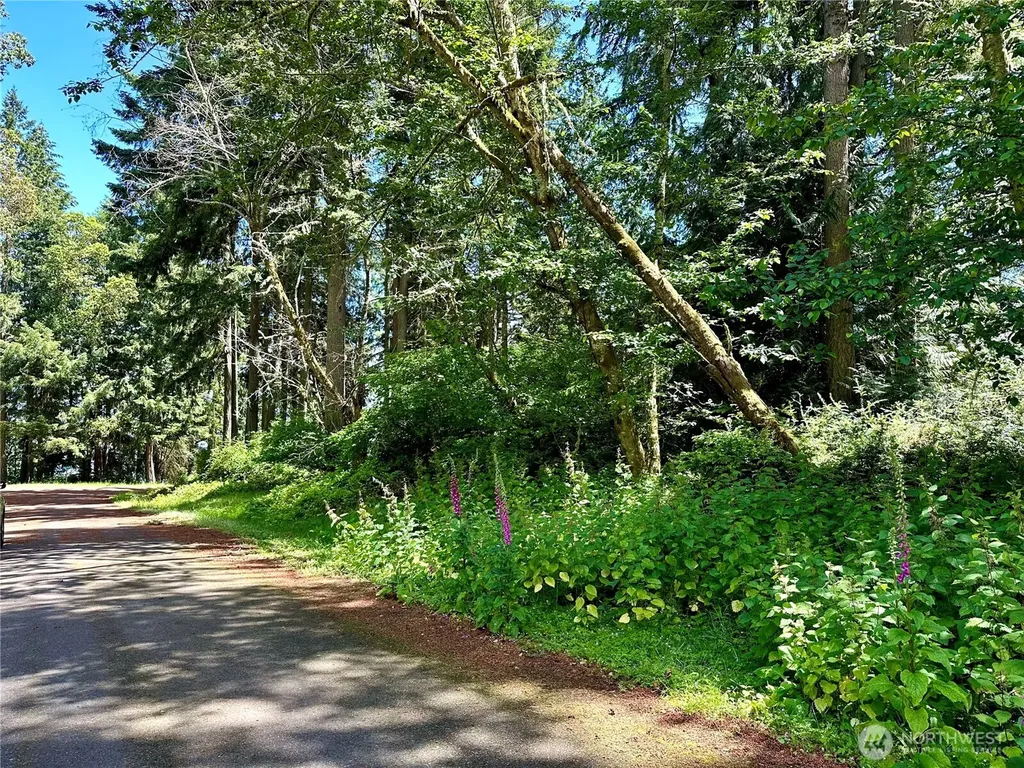 10312 Matthews Anderson Island WA 98303