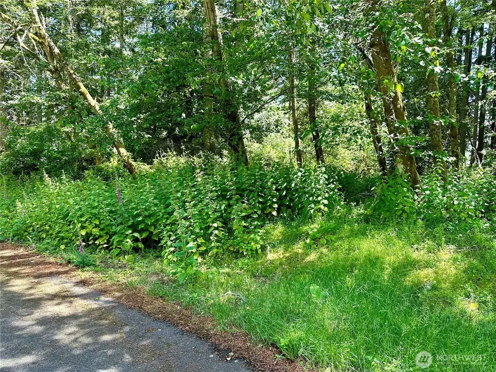 10312 Matthews Anderson Island WA 98303