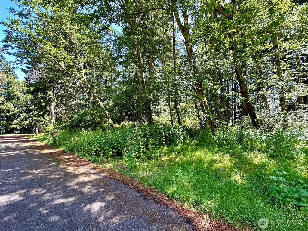 10312 Matthews Anderson Island WA 98303