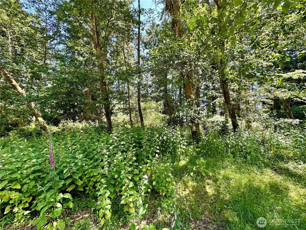 10312 Matthews Anderson Island WA 98303