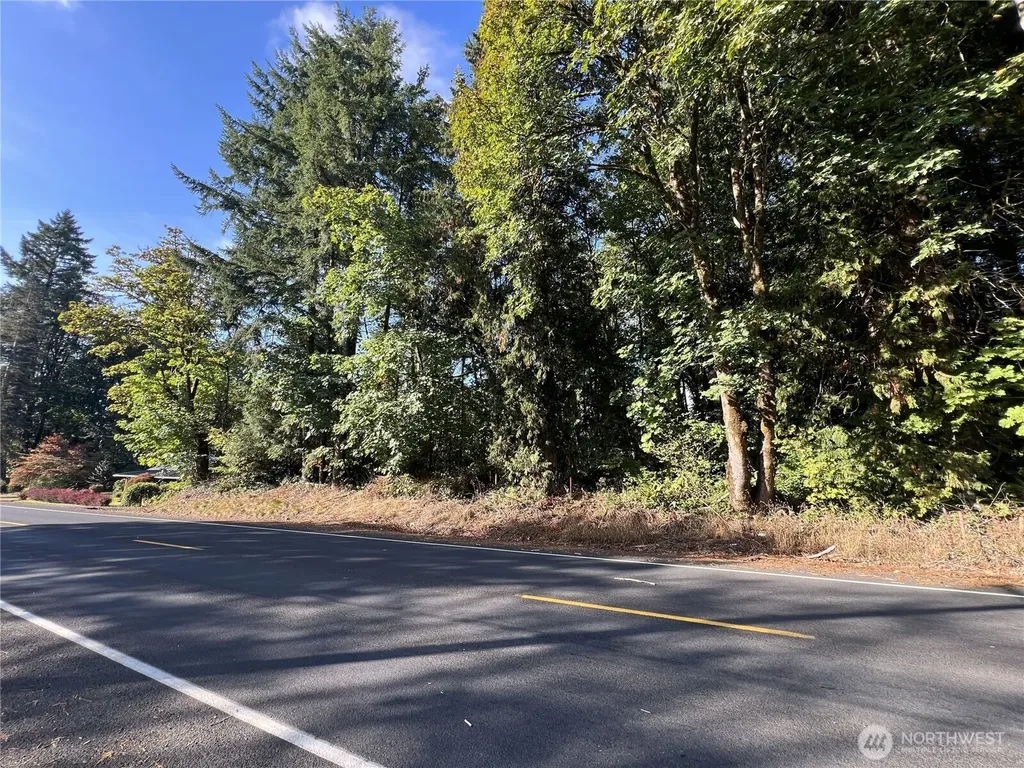 0 Old Pacific Highway Castle Rock WA 98611