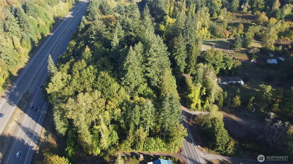 0 Old Pacific Highway Castle Rock WA 98611