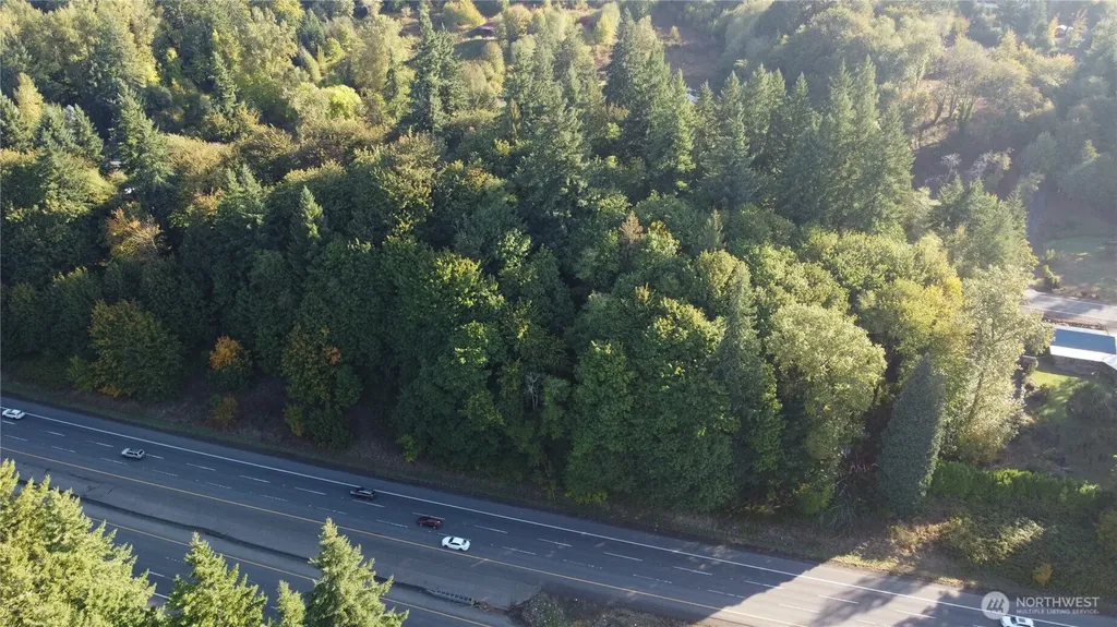 0 Old Pacific Highway Castle Rock WA 98611