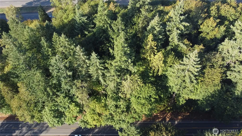 0 Old Pacific Highway Castle Rock WA 98611