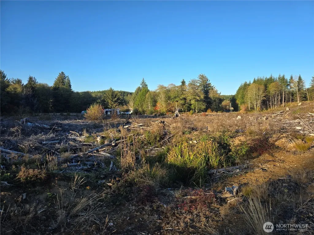 0 Smith Creek Road Raymond WA 98577