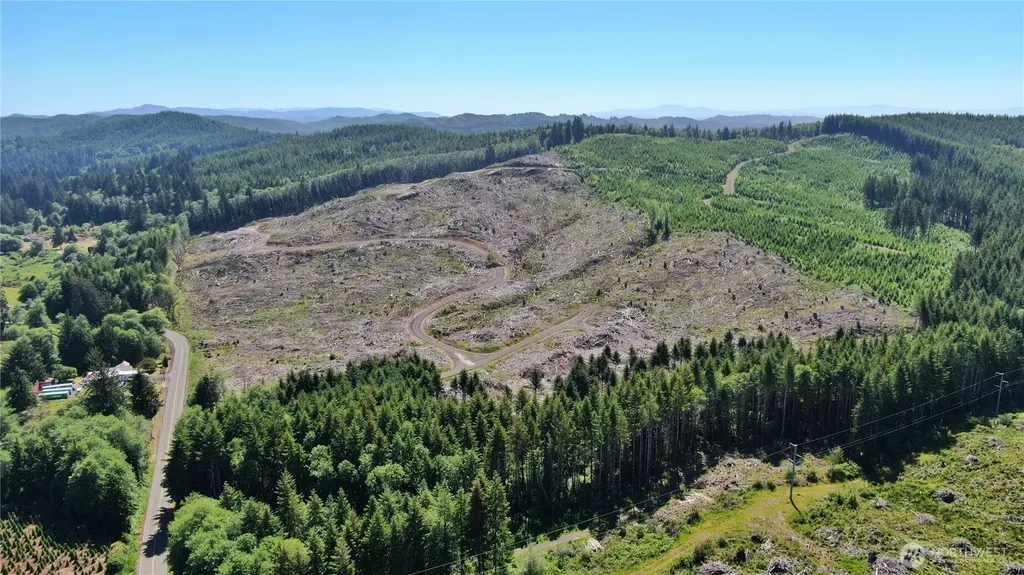 0 Smith Creek Road Raymond WA 98577