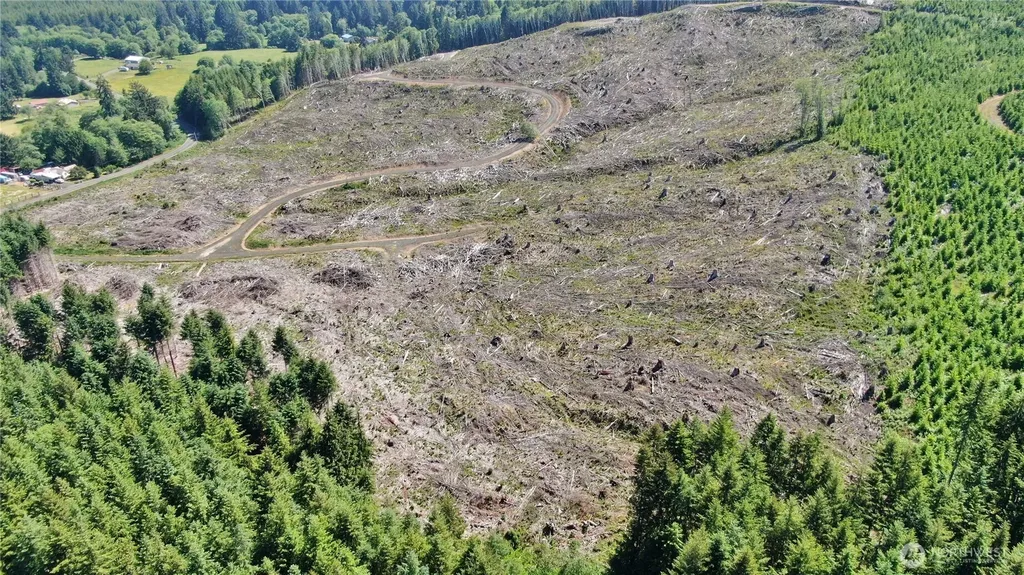 0 Smith Creek Road Raymond WA 98577