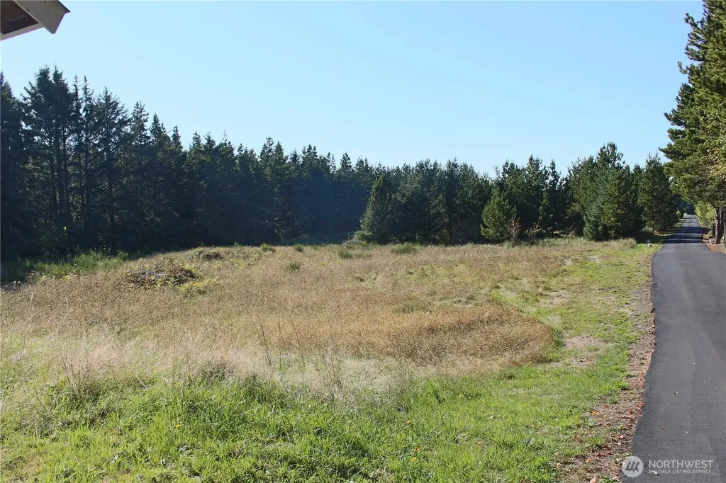 11303 Pacific Way Long Beach WA 98631
