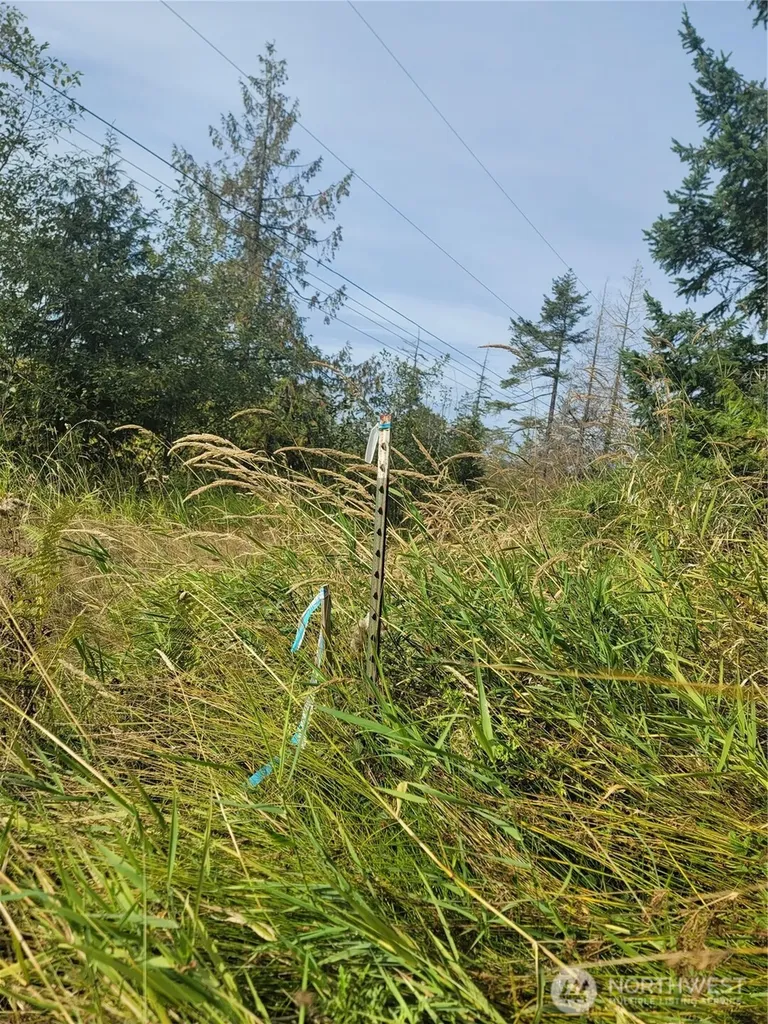 0 Fern Road Port Angeles WA 98362