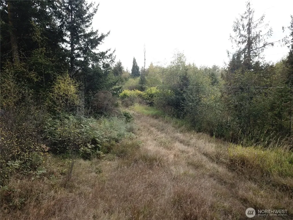 0 Fern Road Port Angeles WA 98362