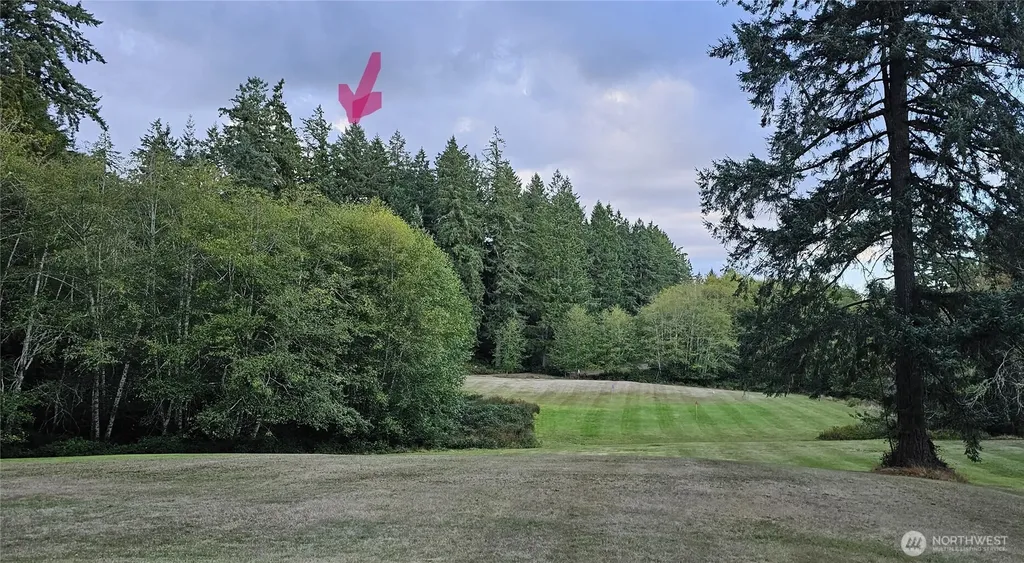 10115 Edgewood Drive Anderson Island WA 98303