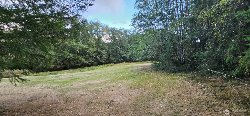 10115 Edgewood Drive Anderson Island WA 98303