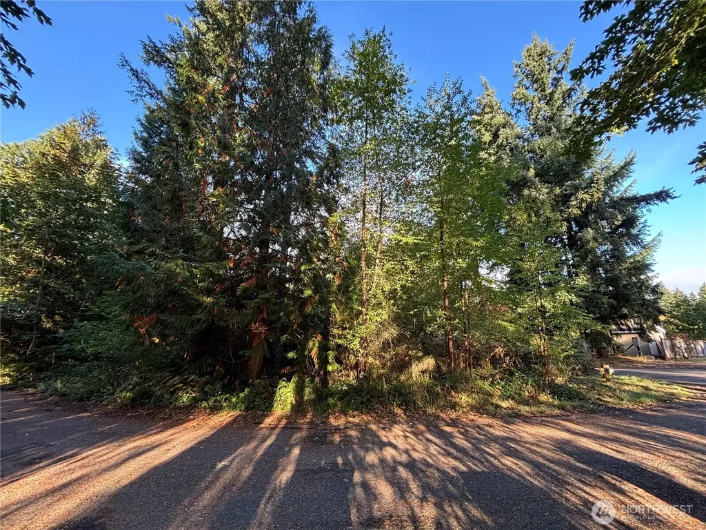 17745 SE Vine Lane Yelm WA 98597
