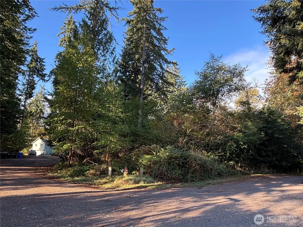 17745 SE Vine Lane Yelm WA 98597
