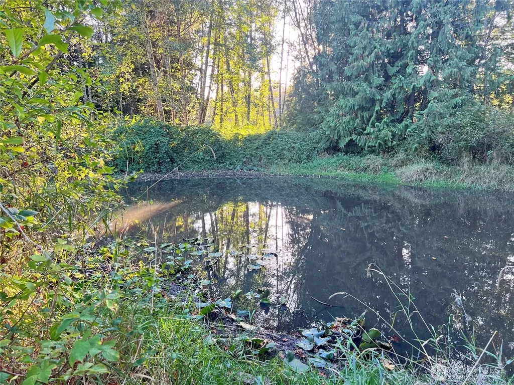 0 Wood Road Bow WA 98232