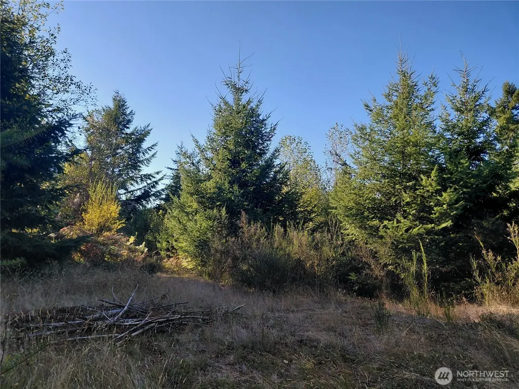 0 Buck Drive Randle WA 98377