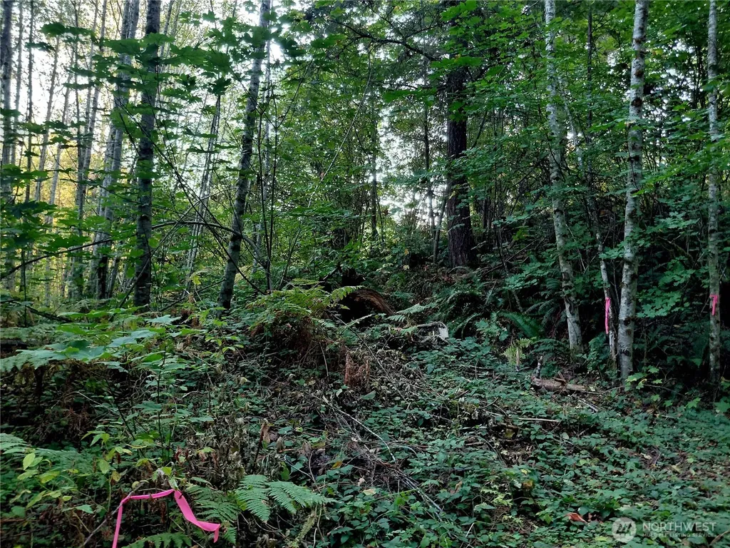 0 Buck Drive Randle WA 98377